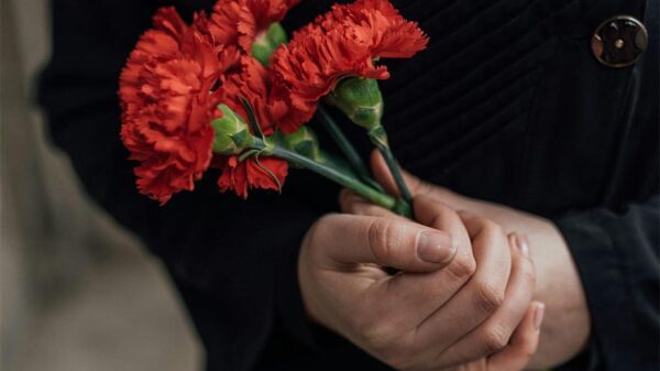 25 de Abril. Creditos: pexels.com, Arina Krasnikova