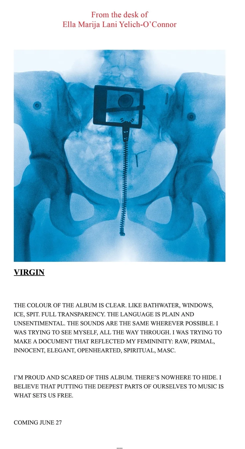 Lorde escreveu uma carta aos fãs sobre o lançamento do álbum "Virgin"