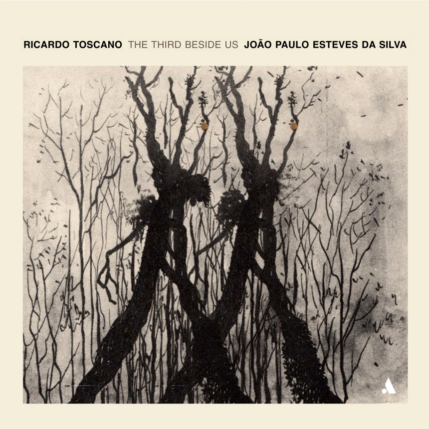 João Paulo Esteves da Silva e Ricardo Toscano, capa do álbum "The Third Beside Us"