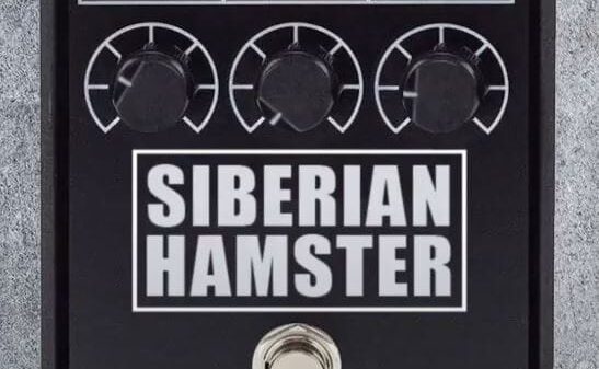 Imagem - sbrnhmstrwtchpg