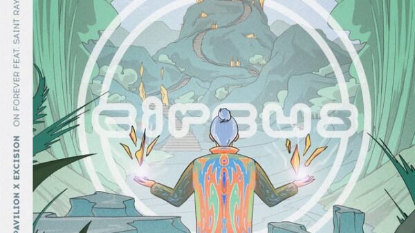 Imagem - ab67616d0000b273bc8b65a4a9ae93ef106e910a