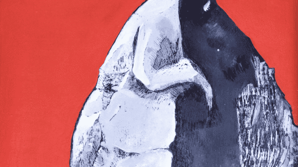 Contraluz - Capa "Batequebrafura"