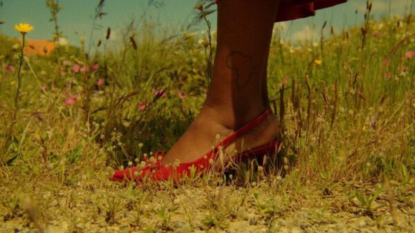 Ivandro, Um Beijo Roubado