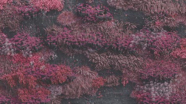 Even in Arcadia, Sleep Token