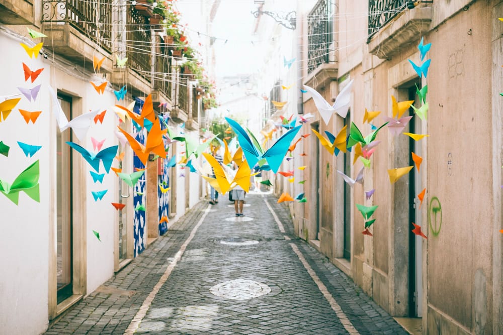 Festival A Porta 2025 - Leiria. Crédito Fotografia: Vera Marmelo