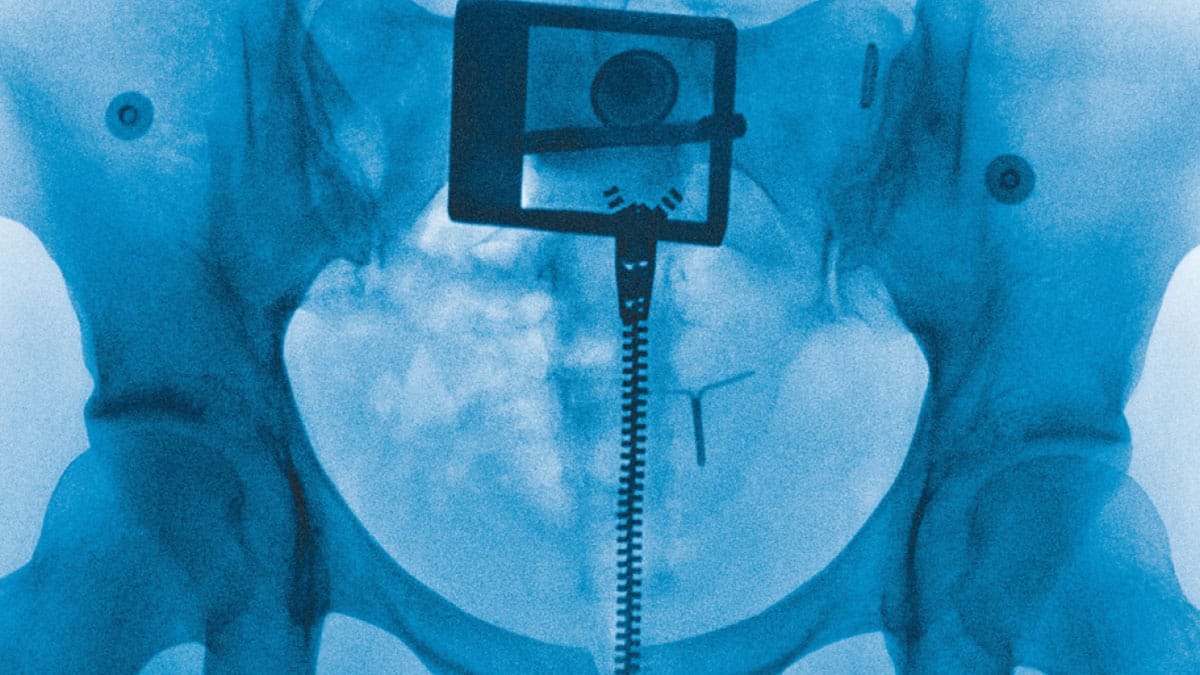 Lorde, "Man of the Year" do álbum "Virgin"