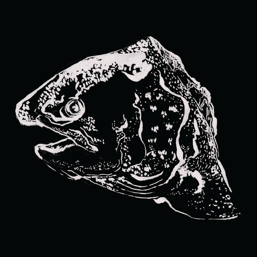 Duques do Precariado, capa do single "Falho"