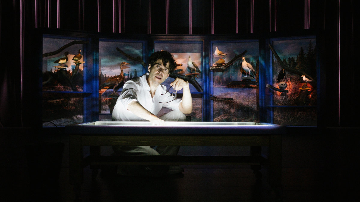 "Só Mais Uma Gaivota", dirigida por Inês Barahona e Miguel Fragata