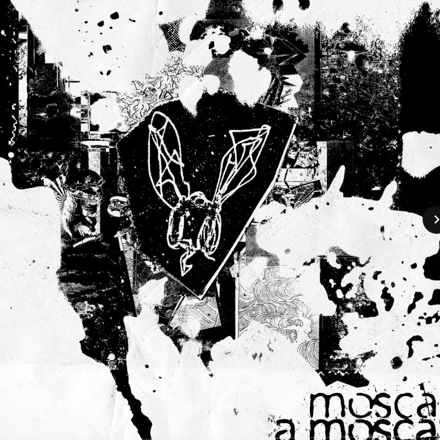 A Mosca, capa do álbum "A mosca mosca"