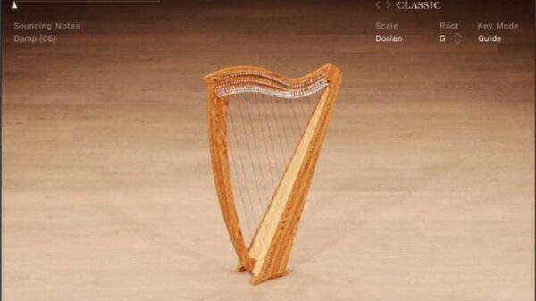 Imagem - irshhrpntvnstrmnts