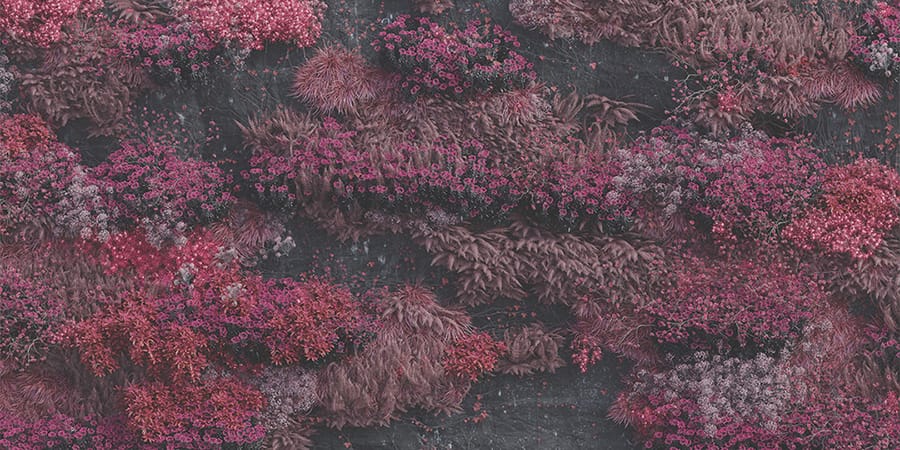 Even in Arcadia, Sleep Token