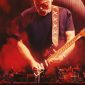 David Gilmour, Live at the Circus Maximus. Banner