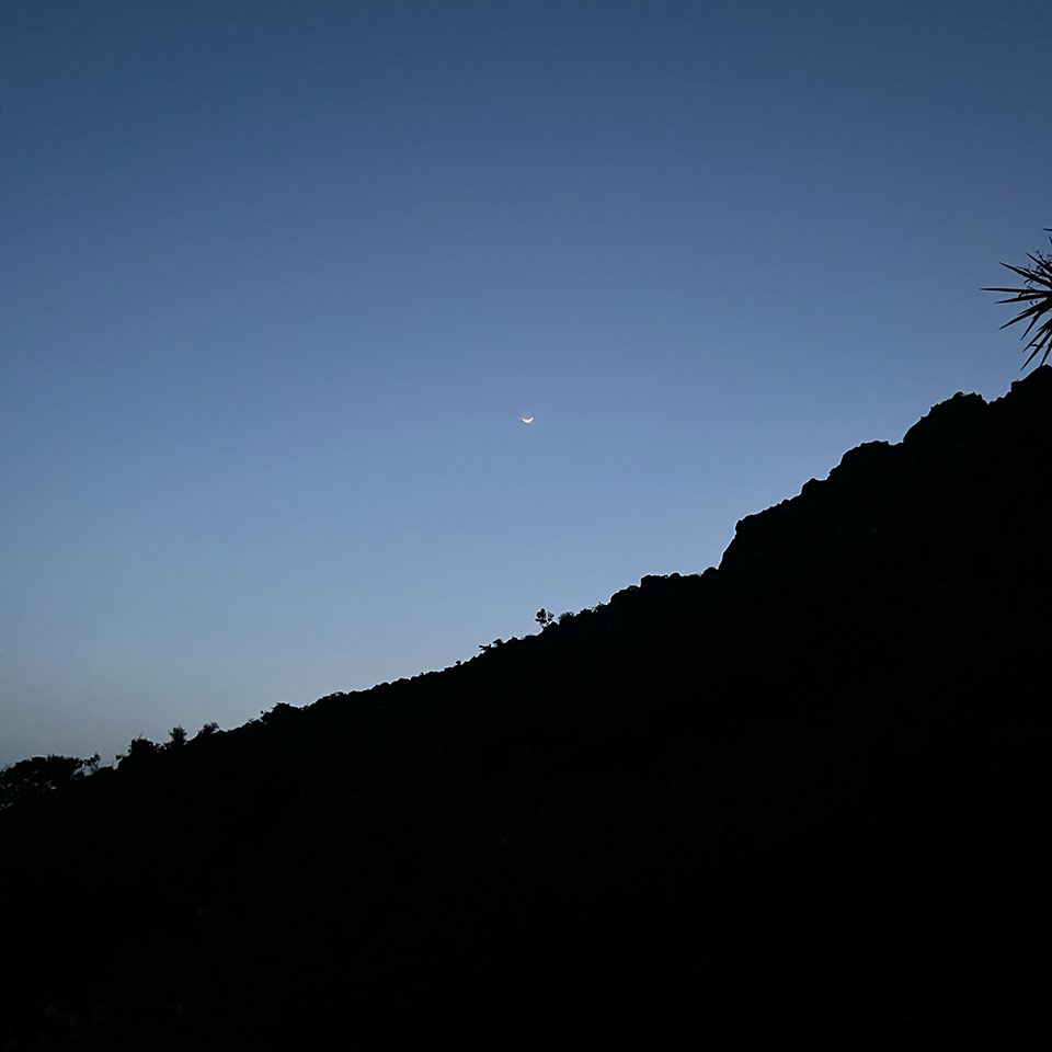 Imagem - Yuuf Lançam "Calima": Nova Faixa do EP "Mt. Sava" 1 Yuuf, capa do single "Calima"