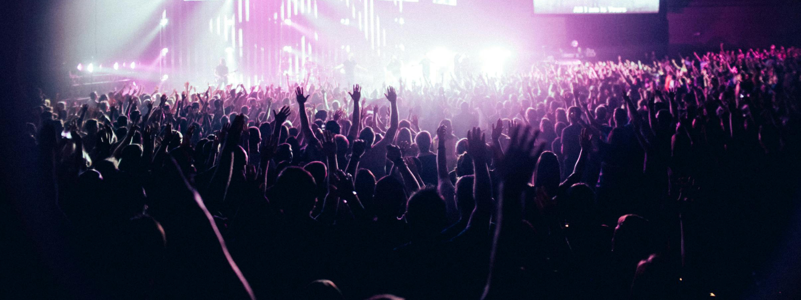 Audiência Musica.com.pt